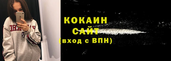 сатива Аркадак