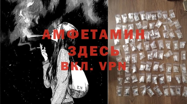 сатива Аркадак
