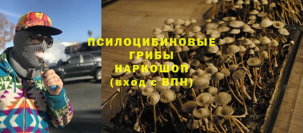 spice Бородино