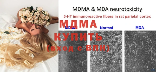 сатива Аркадак