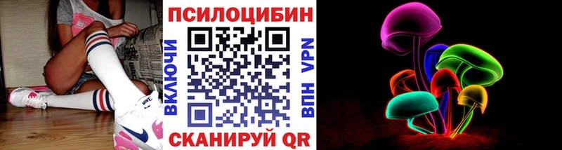 цены наркотик  Тавда  Псилоцибиновые грибы Psilocybe 