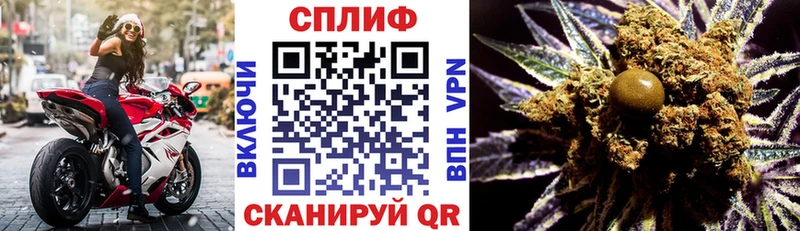 где купить наркоту  KRAKEN ONION  Шишки марихуана марихуана  Тавда 